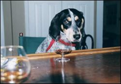 Click to view exif information